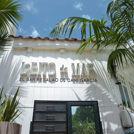 Atico Duplex Nagueles Marbella